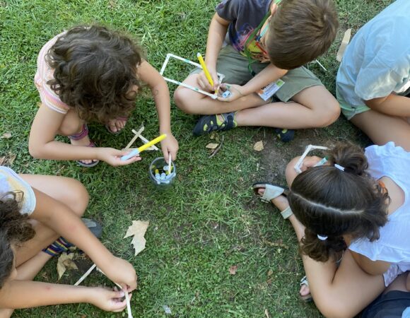 Campamento de verano: Arte y naturaleza en la Fundación Valentín de Madariaga