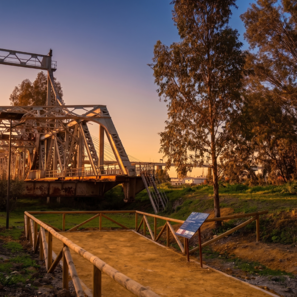 Puente abierto: Miradas al atardecer. Microvisitas gratuitas al puente de Alfonso XIII